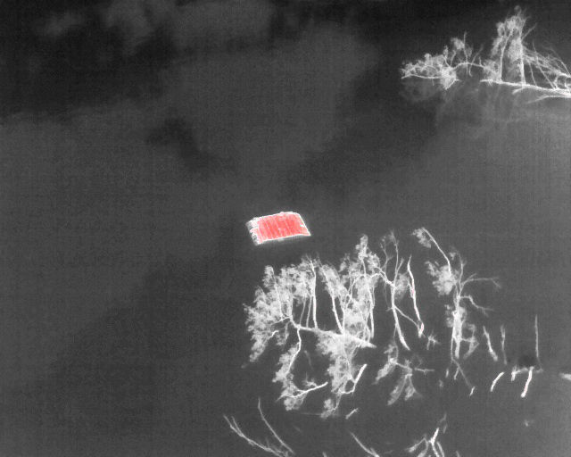 	Thermal photo taken of turtles basking on a platform installed at Shawnee State Park. Indicators show how the turtles are drawn to the warmth on the platform.