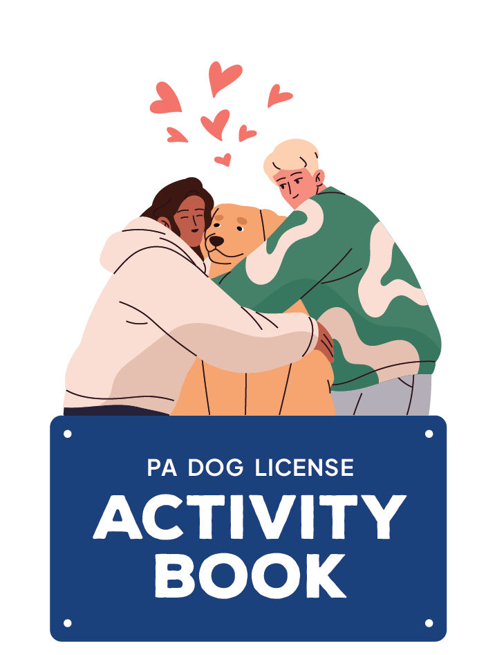 dog license activity book