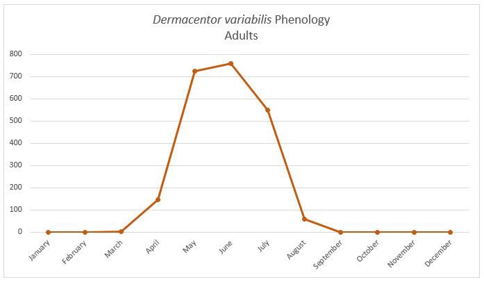 American Dog tick graph