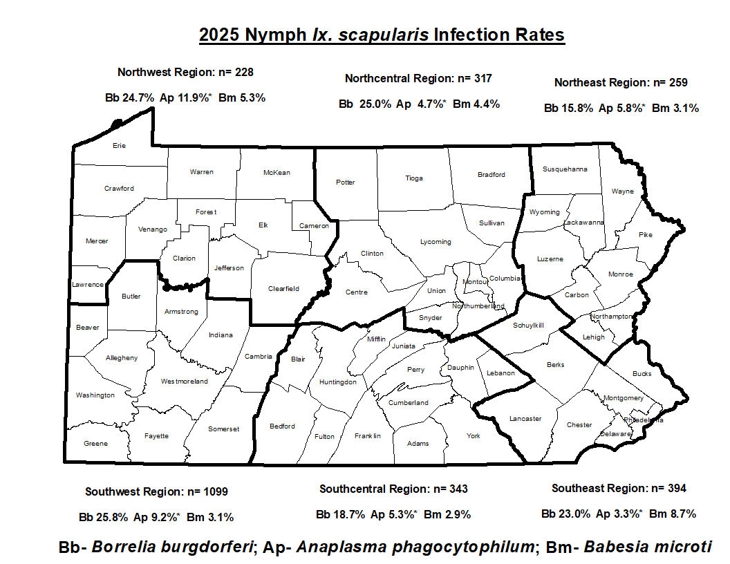 2025 Ixodes scapularis nymph statewide survey
