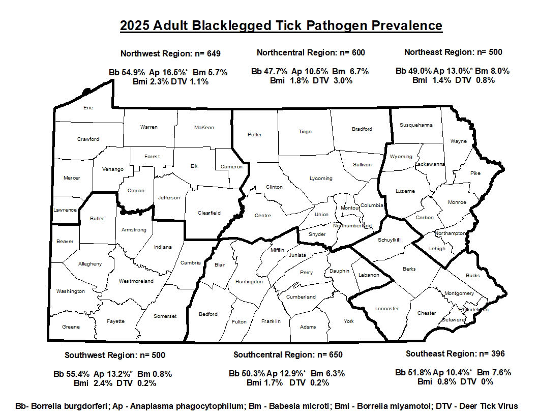 2025 Ixodes scapularis adult statewide survey