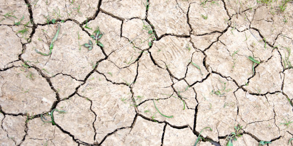 Close-up of dry, cracked ground.