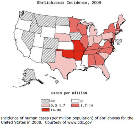 Map of the United States that shows incidences of human cases of ehrlichiosis in 2008