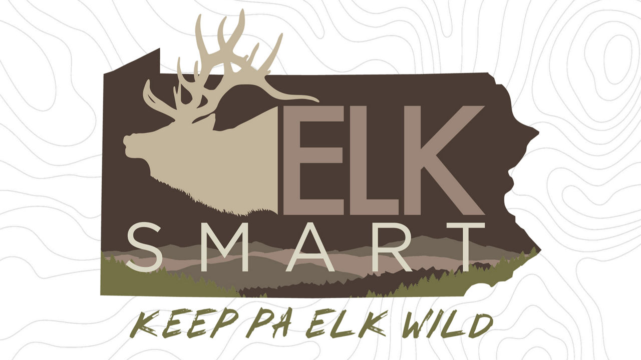 Elk Smart