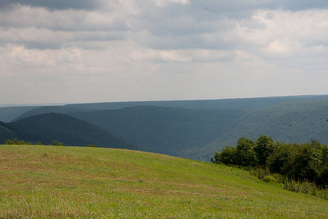 Scenic vista at at Elk State Forest