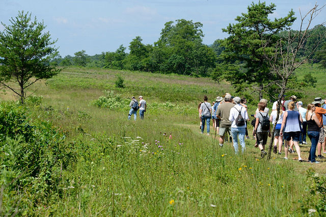 Image of Fort Indiantown Gap fields