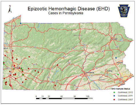 Map of Pennsylvania and cases of Epizootic Hemorrhagic Disease