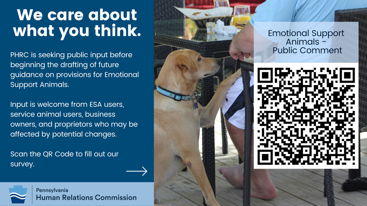 Graphic with a QR code to access an online survey