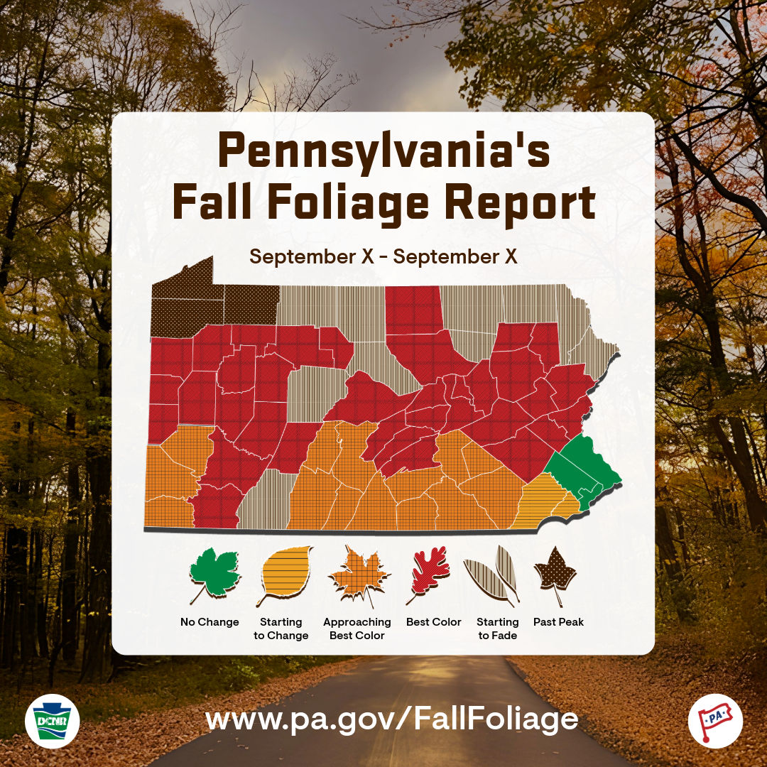 A sample fall foliage map featuring counties in various stages of fall.
