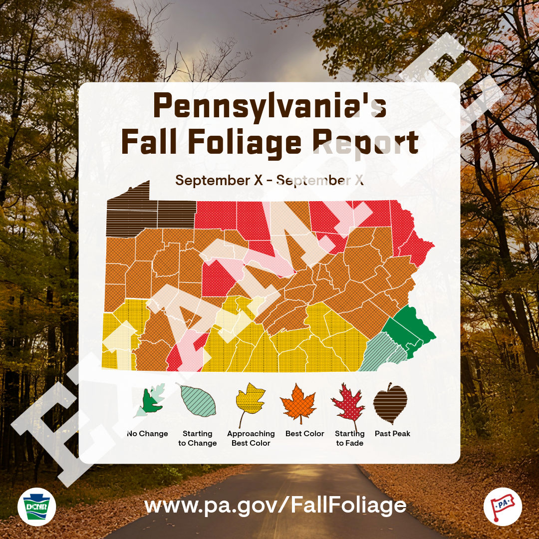 An example map of Pennsylvania's Fall Foliage Report. The map features various leaves and colors depicting the current fall foliage conditions in each county.