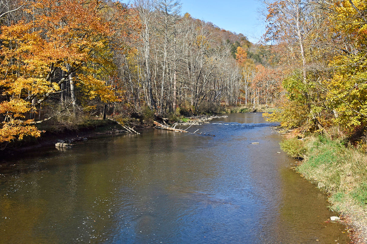 Overview shot of Penns Creek during the fall season