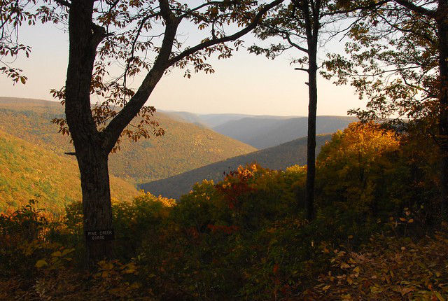 Scenic vista at sunset at Tiadaghton State Forest