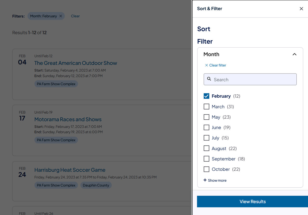 Sample Search Results component with filter applied and search input box hidden