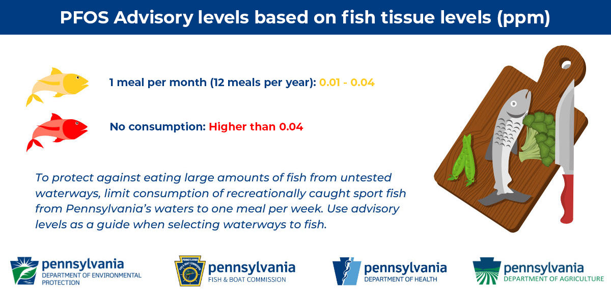 Fish Consumption Graphic