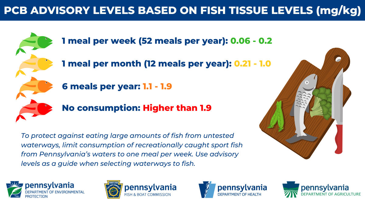 Fish Consumption Graphic