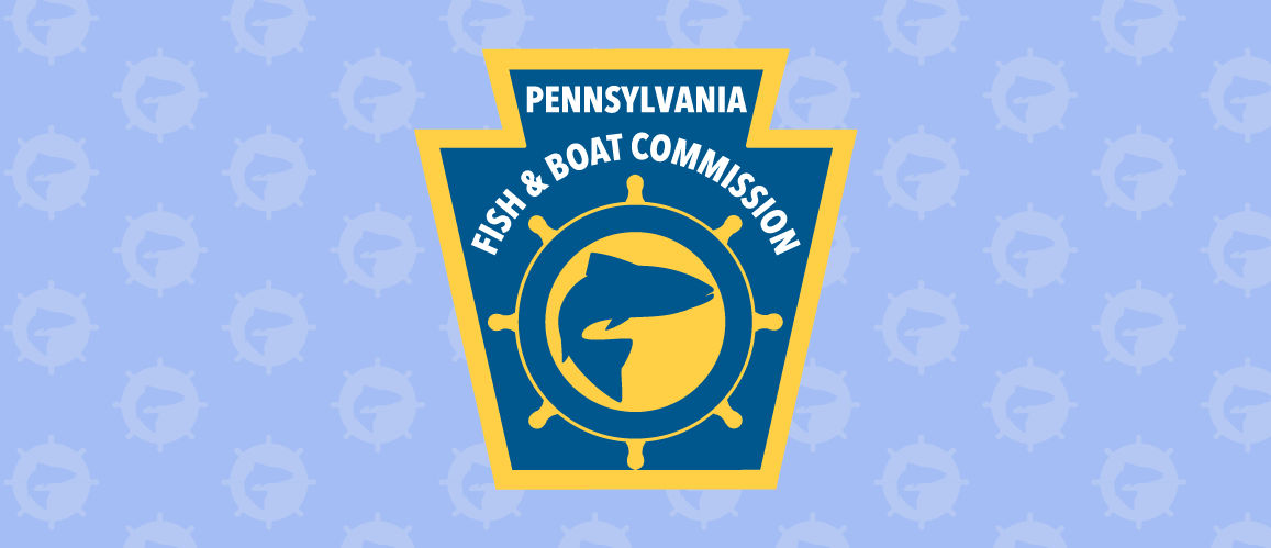 Department of Health logo