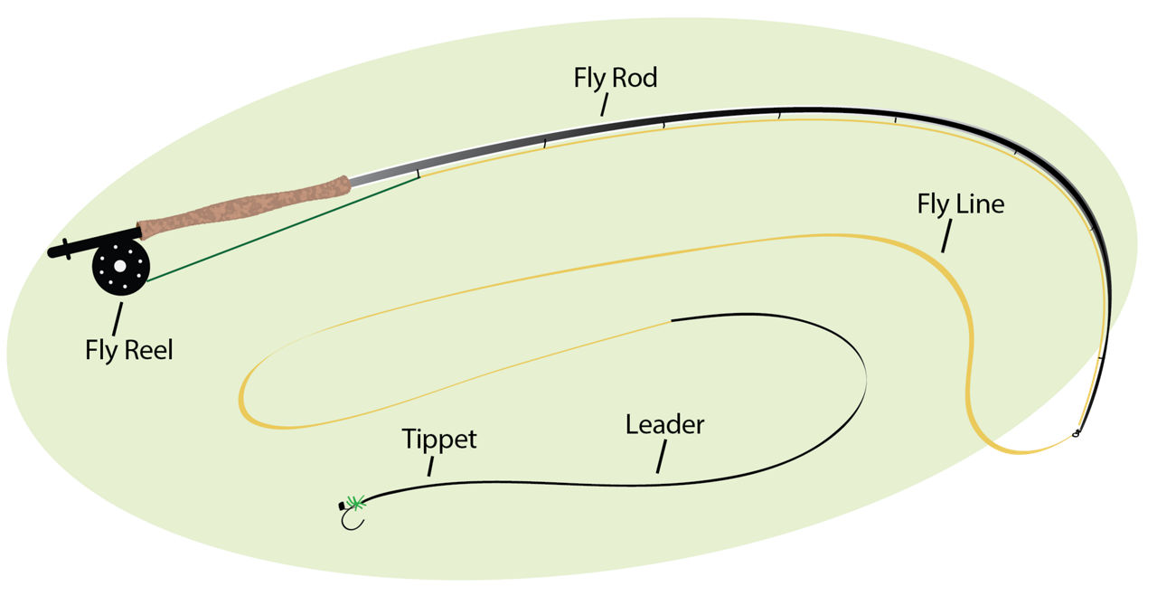 Diagram explaining all of the components of a fly fishing rod