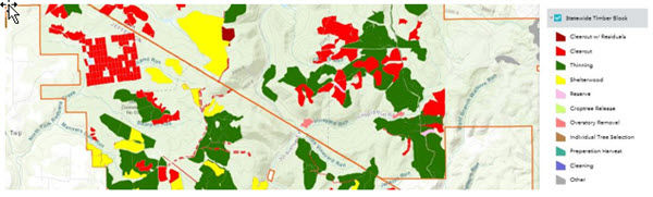 Forest Management History