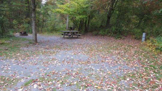 A paved, accessible path meanders through a tranquil forest with bare trees and fallen leaves. A picnic table, designed for easy access, is visible in the background, inviting visitors to enjoy a meal in nature. 