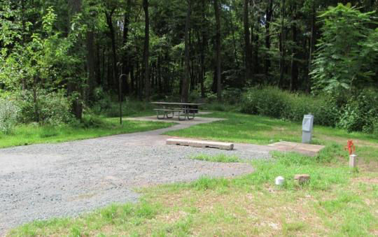 A paved, accessible path meanders through a tranquil forest with bare trees and fallen leaves. A picnic table, designed for easy access, is visible in the background, inviting visitors to enjoy a meal in nature. 