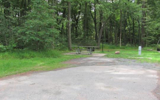 A paved, accessible path meanders through a tranquil forest with bare trees and fallen leaves. A picnic table, designed for easy access, is visible in the background, inviting visitors to enjoy a meal in nature. 