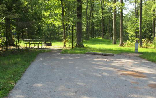 A paved, accessible path meanders through a tranquil forest with bare trees and fallen leaves. A picnic table, designed for easy access, is visible in the background, inviting visitors to enjoy a meal in nature. 