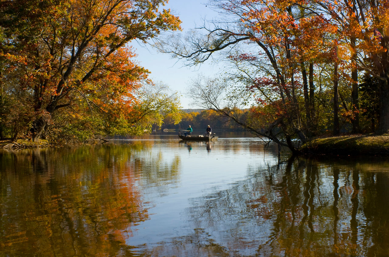 A small boat in a lake cove surrounded by trees full of autumn color