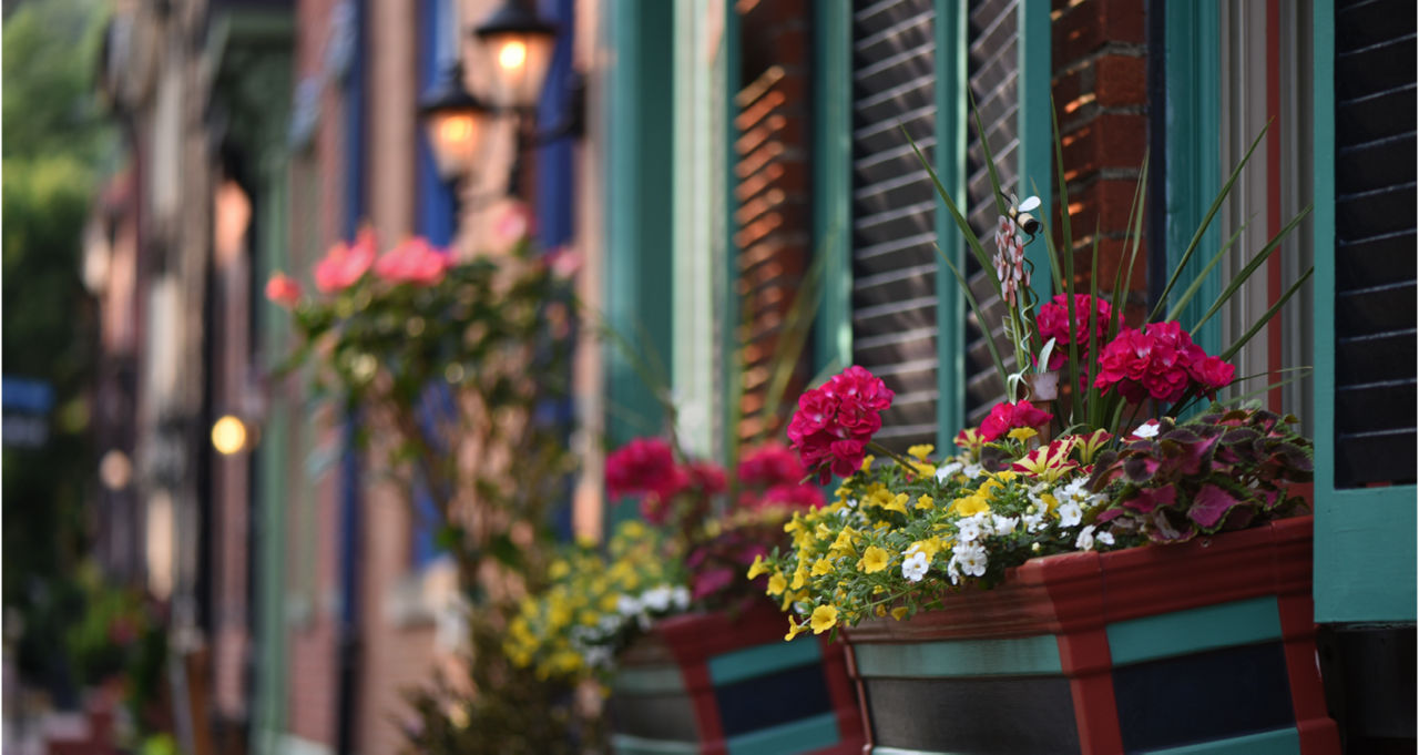 Outside of a row of homes, zoomed in on a decorative window with colorful flower boxes.