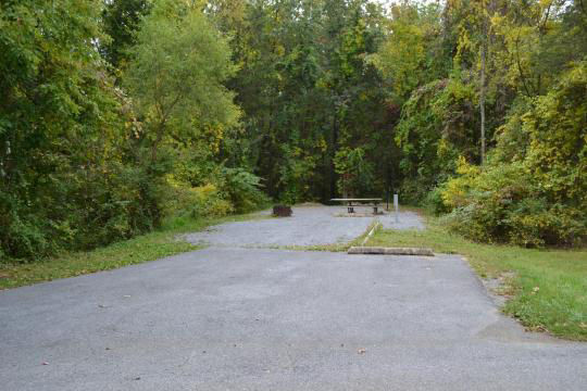 A paved, accessible path meanders through a tranquil forest with bare trees and fallen leaves. A picnic table, designed for easy access, is visible in the background, inviting visitors to enjoy a meal in nature. 