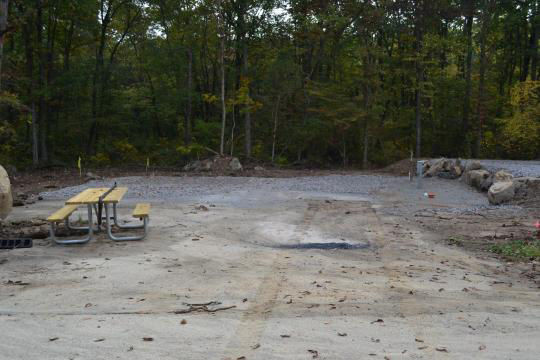 A paved, accessible path meanders through a tranquil forest with bare trees and fallen leaves. A picnic table, designed for easy access, is visible in the background, inviting visitors to enjoy a meal in nature. 