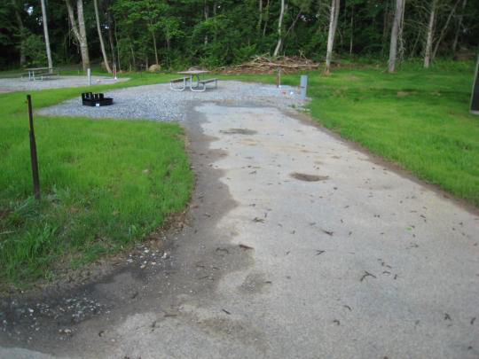A paved, accessible path meanders through a tranquil forest with bare trees and fallen leaves. A picnic table, designed for easy access, is visible in the background, inviting visitors to enjoy a meal in nature. 