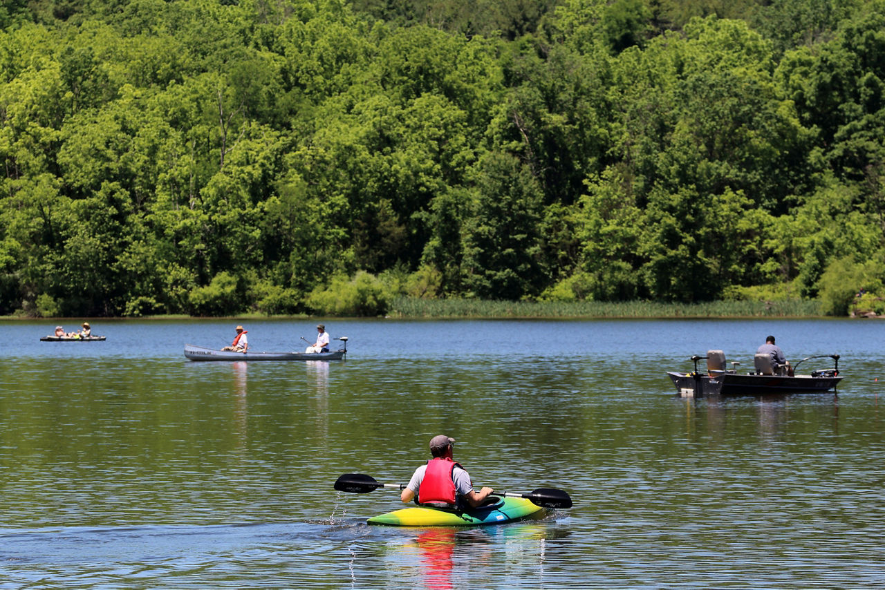 Four boats in the lake with green forest in the background