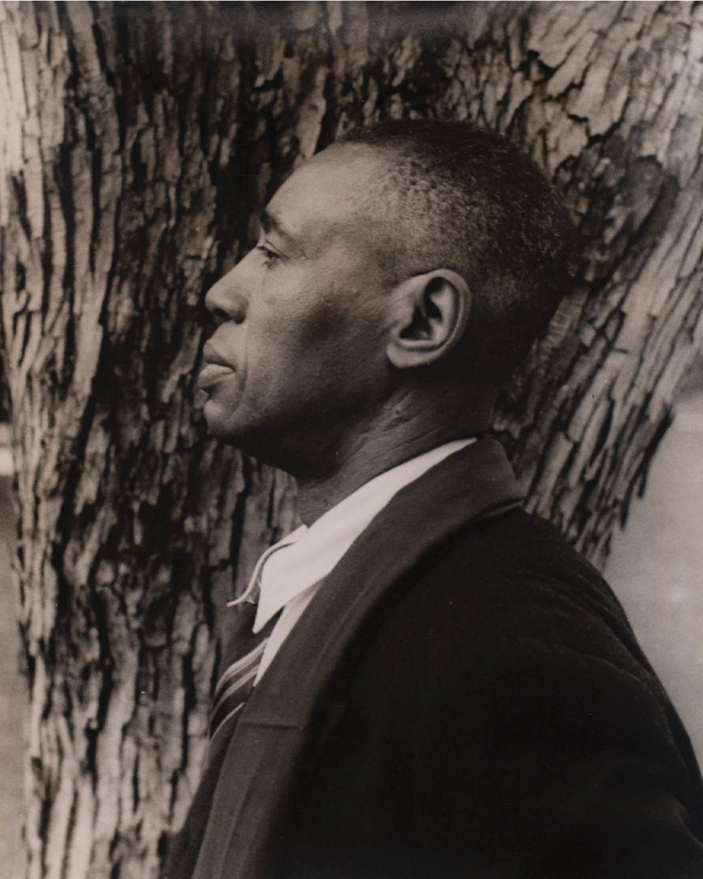 Profile of man in suit beside textured tree trunk