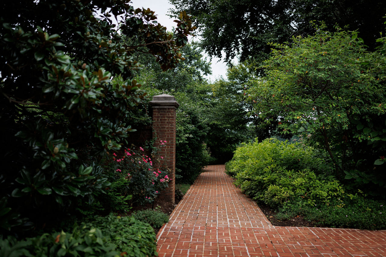 Brick pathway through lush green garden landscape
