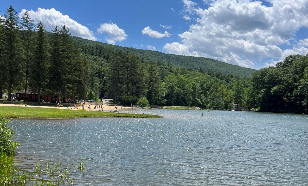 A lake with swimmers at the beach and forested mountains in the background