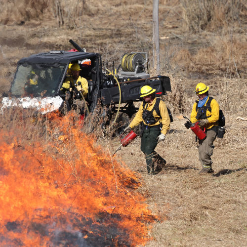 Prescribed fire