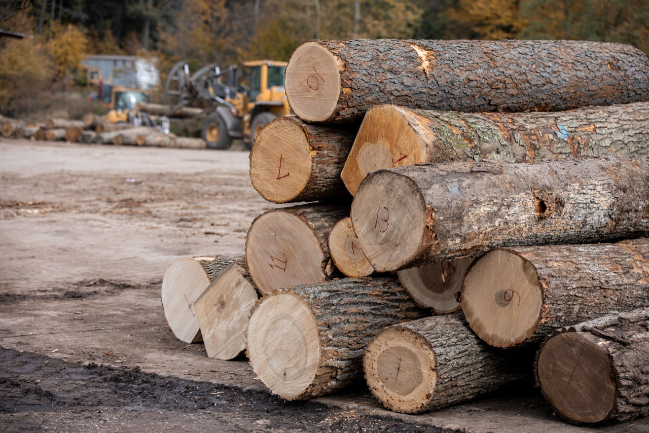 AgExplorer Hardwoods Header