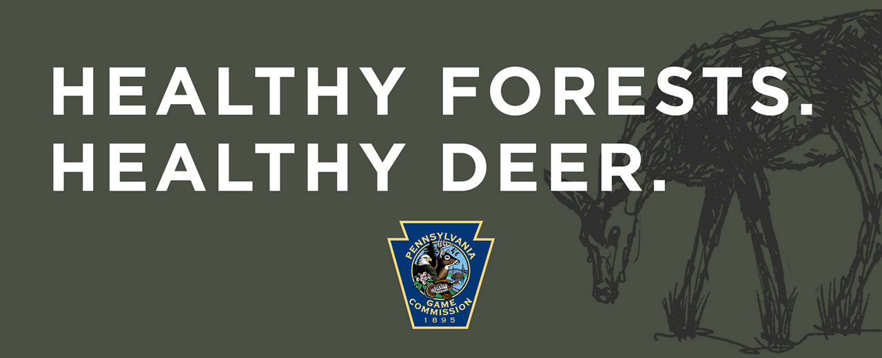 deer banner