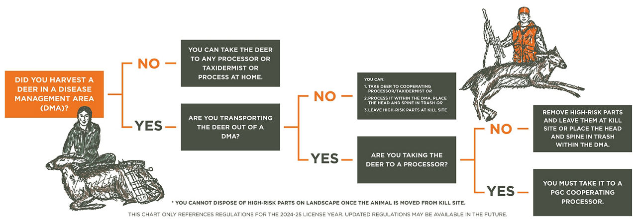 deer flow chart