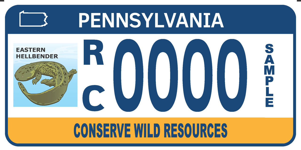 A sample Eastern Hellbender registration plate. The plate features an image of an Eastern Hellbender with the following text: "Pennsylvania -- Eastern Hellbender -- RC 0000 SAMPLE -- Conserve Wild Resources."