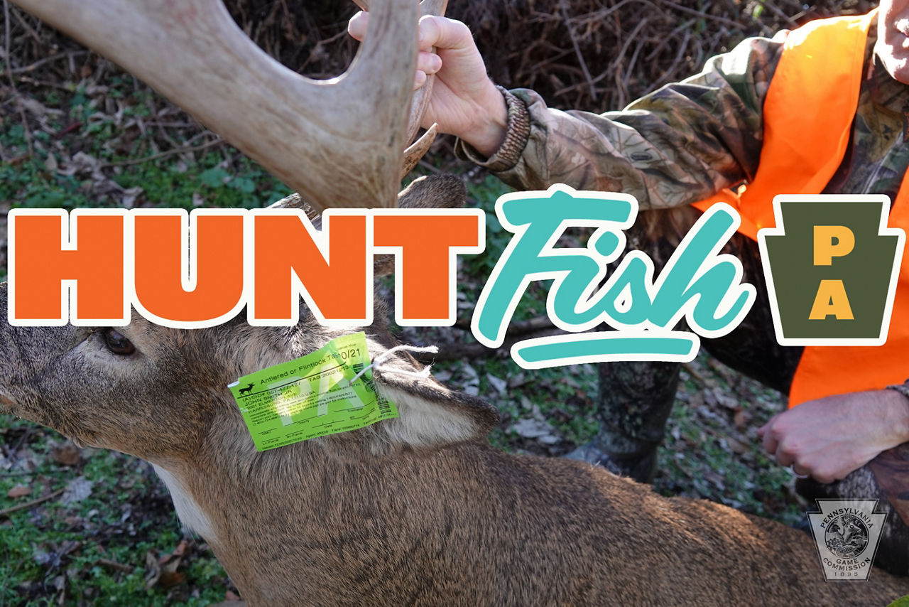 Hunt fish PA logo