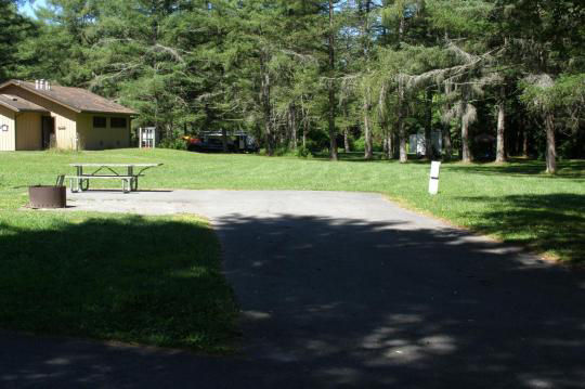 A paved, accessible path meanders through a tranquil forest with bare trees and fallen leaves. A picnic table, designed for easy access, is visible in the background, inviting visitors to enjoy a meal in nature. 