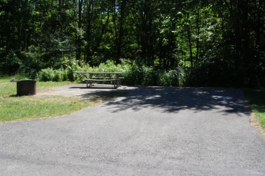 A paved, accessible path meanders through a tranquil forest with bare trees and fallen leaves. A picnic table, designed for easy access, is visible in the background, inviting visitors to enjoy a meal in nature. 