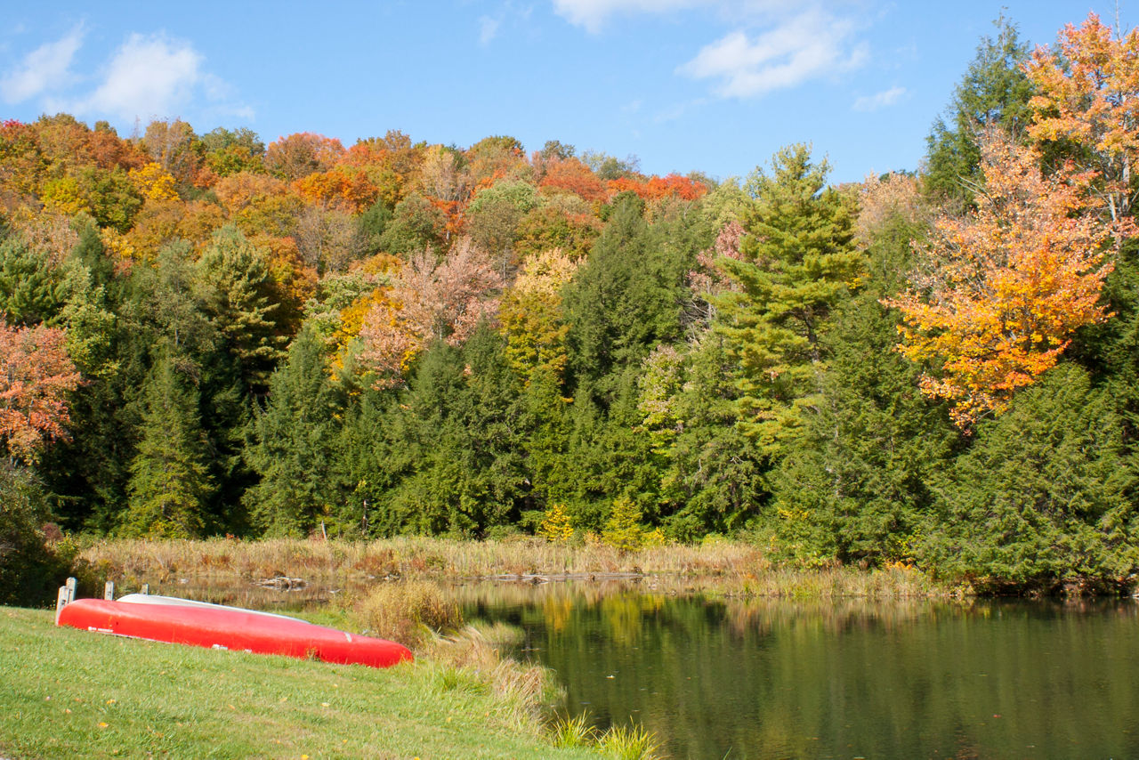 A red canoe resting on the bank of a pond surrounded by a forest with autumn colors