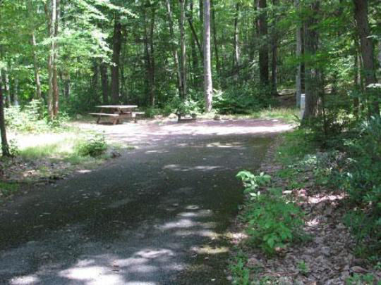 A paved, accessible path meanders through a tranquil forest with bare trees and fallen leaves. A picnic table, designed for easy access, is visible in the background, inviting visitors to enjoy a meal in nature. 