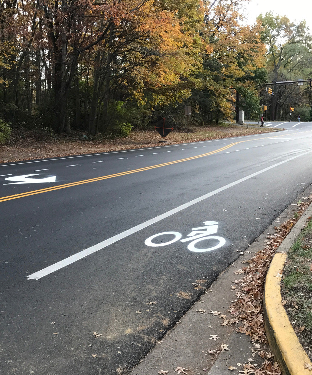 A tree-lined, two-lane roadway in the fall. A bike lane is present in the lower half of the photo, and a left-hand turn lane is present in the upper half of the photo.