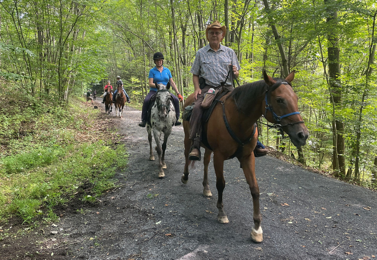 A group riding horses on a gravel trail through the green forest