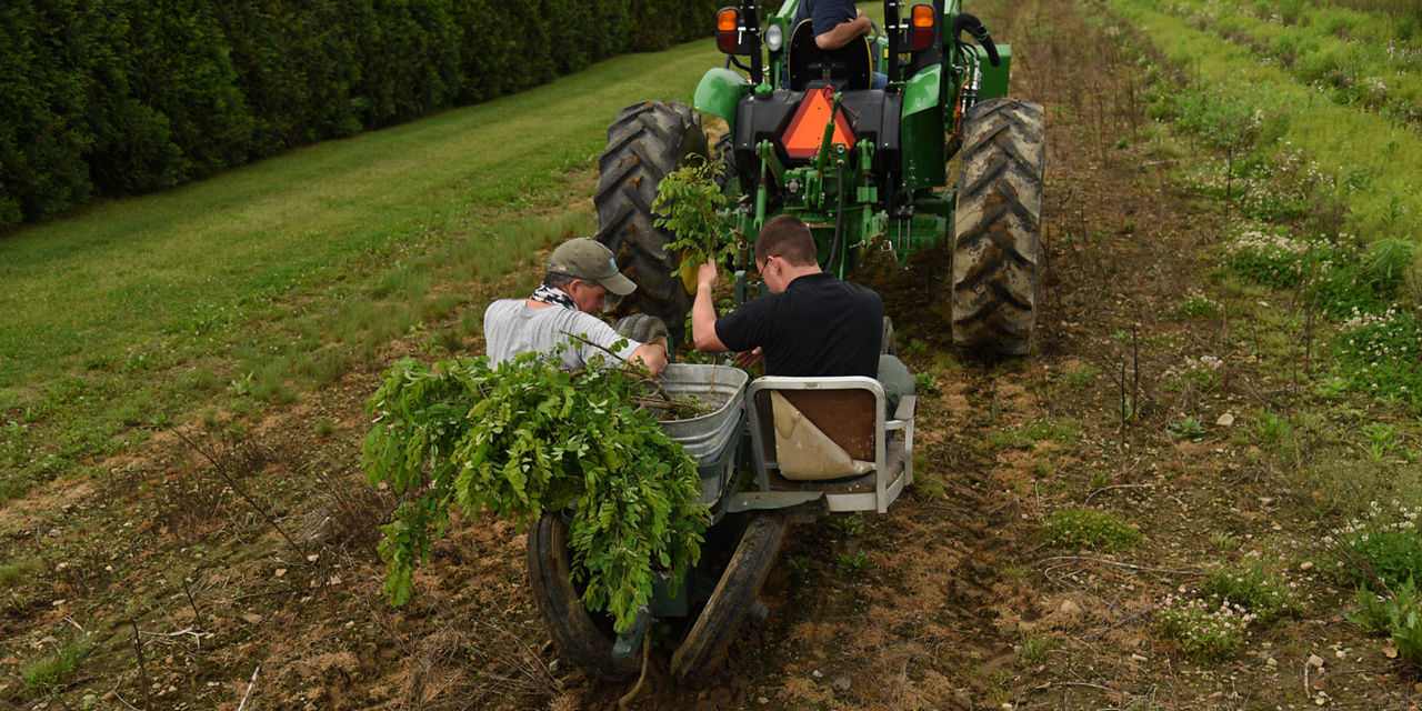 tractor