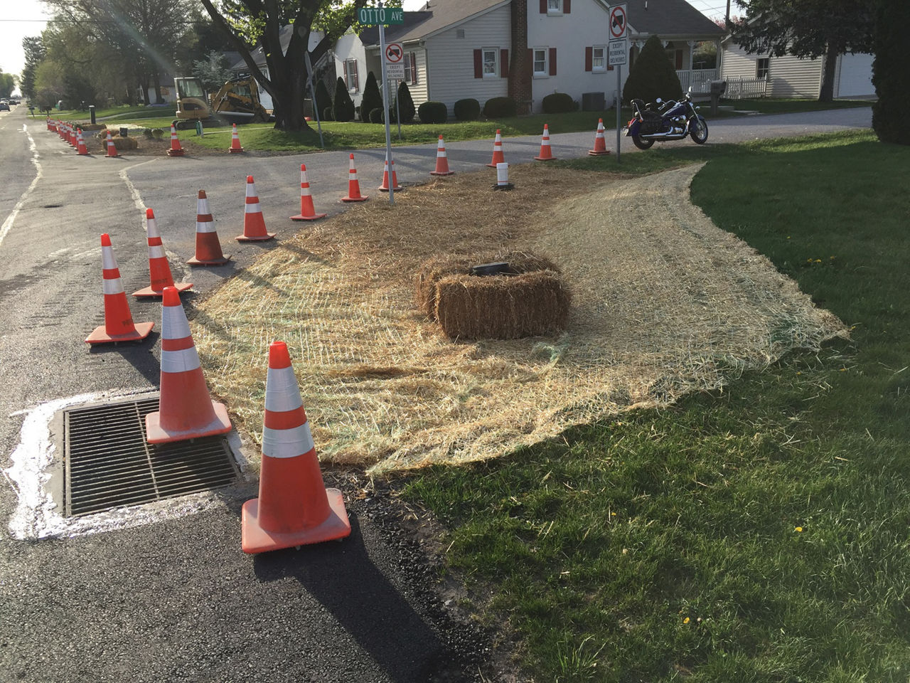 newly planted stormwater control area