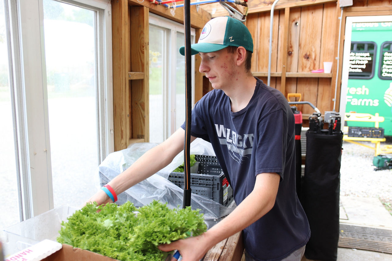 A man wearing a hat holds a box filled with fresh lettuce, showcasing his harvest.